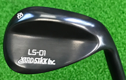 LS-01 QPQバージョン